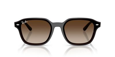 Anteojos De Sol Ray-Ban RB4458D  Café Unisex