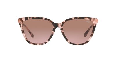 Lentes De Sol Jack Pacific JK6001M Café Mujer