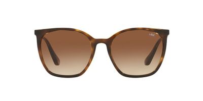 Anteojos De Sol Jack Pacific JK1013M Havana Gradient Brown Havana Mujer