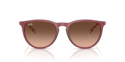 Anteojos De Sol Ray-Ban RB4171 Erika Violeta Mujer