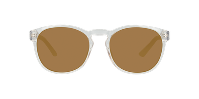 Anteojos De Sol Seen NE6077 Transparent Crystal Clear Brown Mirror Gold Trasparente Hombre