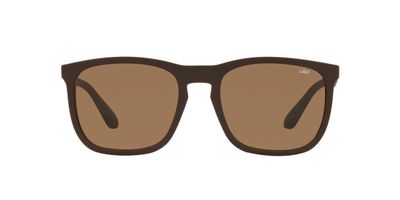 Lentes De Sol Jack Pacific JK1020M Café Hombre