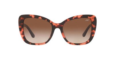 Anteojos De Sol Jack Pacific JK6003UM  Havana Mujer