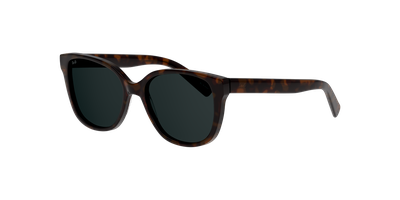 Imagen 2 del producto Anteojos De Sol Dbyd DB4006 Dbsf5000 Havana Unisex