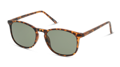 Anteojos De Sol Seen NE6007 Snsu0020 Havana Unisex