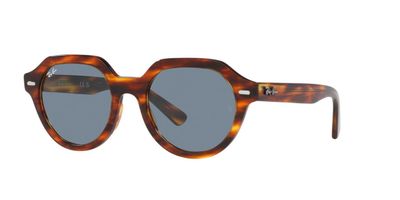 Imagen 2 del producto Lentes De Sol Ray-Ban RB4399 Gina Havana Unisex