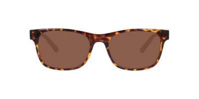 Imagen 1 del producto Anteojos De Sol Arnette 0AN3096 Matte Gunmetal Blue Gradient Grey Hombre