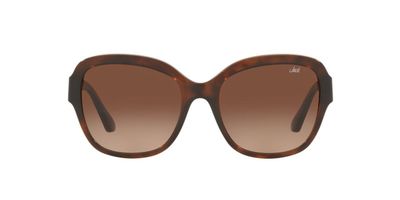 Anteojos De Sol Jack Pacific JK1025M  Havana Mujer