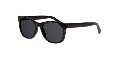 Imagen 2 del producto Anteojos De Sol Dbyd DB4007 Dbsu5000 Havana Unisex