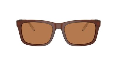Anteojos De Sol Emporio Armani EA4224 Café Hombre