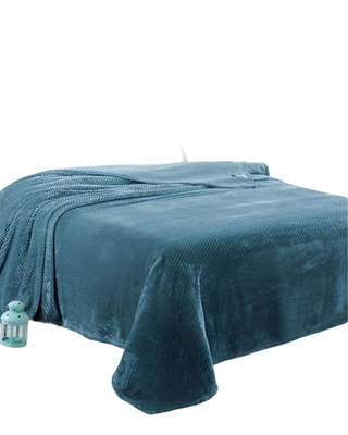 Imagen 2 del producto MANTAS PLUHS CELESTE  PLAZA Y MEDIA