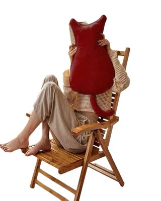 Imagen 2 del producto Cojin de Gato Extra Suave para decorar o apego para niños Rojo