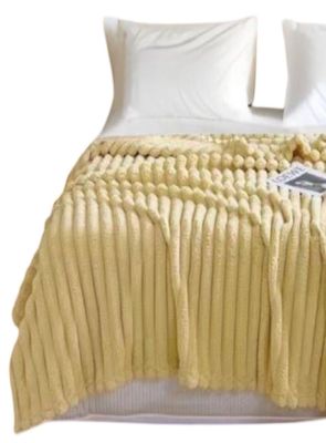 Imagen 2 del producto FRAZADA MANTA DE PLUSH EXTRA SUAVE TP07