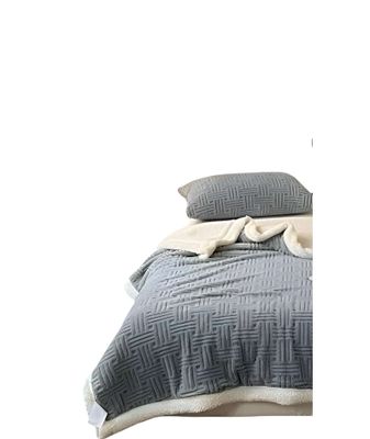 Imagen 2 del producto FRAZADA MANTA CON CHIPORRO 2 PLAZA AZUL