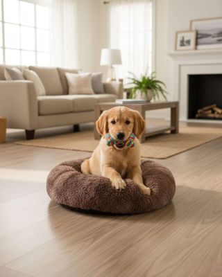 Imagen 2 del producto Cama Acolchada de Alta Densidad para tus mascotas 60 cm café