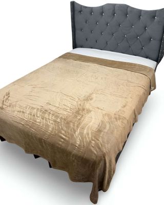 Imagen 2 del producto Mantas Frazada de Plush con Chiporro 2 plazas beige