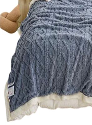 Imagen 2 del producto FRAZADA MANTA DE PLUSH Y SHERPA EXTRA SUAVES TP23