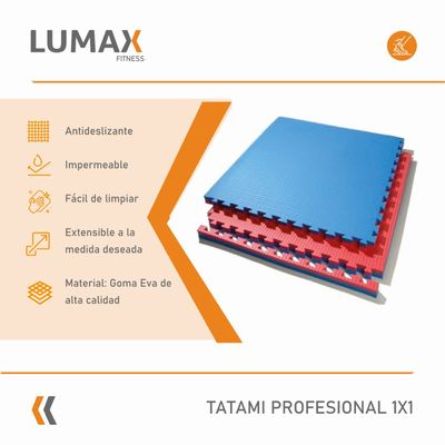 Imagen 2 del producto Tatami Profesional 1mx1m Goma Eva Azul y Rosado