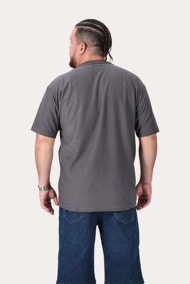 Imagen 2 del producto Plus Polera MC Textura Fenway Gris