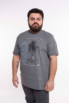Plus Polera Mc Básica 4053G Gris Gangster
