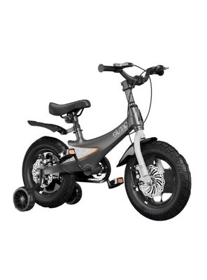 Imagen 2 del producto Bicicleta Infantil 2-5 Años Niño Aro 12 Lubabycas Gris