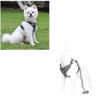 Imagen 2 del producto Arnés Para Perro Ajustable Con Correa Reflectantes M