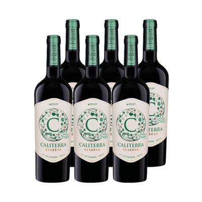 6x Vino Caliterra Reserva Merlot 750cc