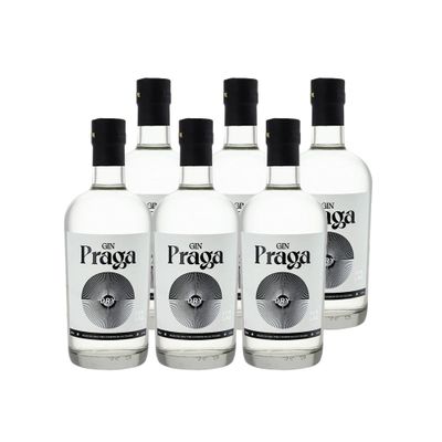 6x Gin Praga Dry 38° 700cc