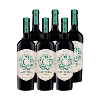 6x Vino Caliterra Reserva Carmenere 750cc
