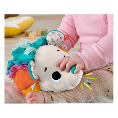 Imagen 2 del producto Fisher Price Erizo Estímulos Y Juego