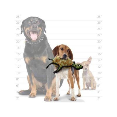 Imagen 2 del producto Juguete para perros ANSALDO PETS Tuffy Tortuga resistente