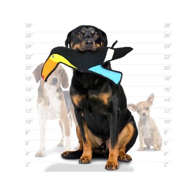 Imagen 2 del producto Juguete para perros ANSALDO PETS Tucán resistente a