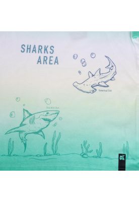 Imagen 2 del producto Polera Niño Verde Pillin