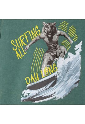 Imagen 2 del producto Polera Niño Verde Pillin (PVC658-25VER3M)