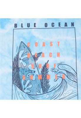 Imagen 2 del producto Polera Niño Celeste Pillin