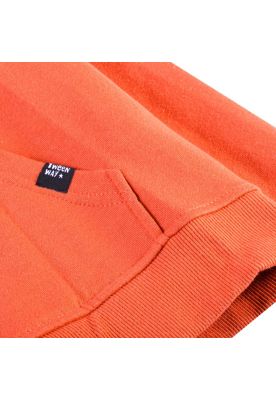 Imagen 2 del producto Poleron con Capucha Niño Ladrillo Pillin