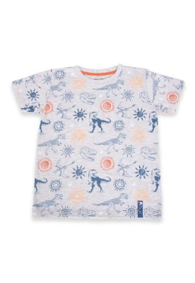 Polera Niño Gris claro Pillin