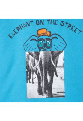 Imagen 2 del producto Polera  Niño Calipso Pillin (PVC602-25CAL3M)