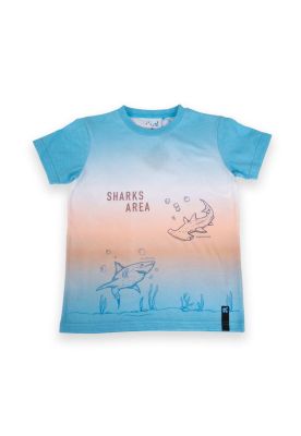 Polera Niño Turquesa Pillin