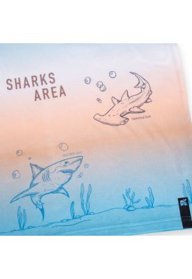 Imagen 2 del producto Polera Niño Turquesa Pillin