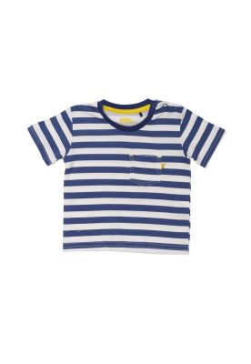 Polera Manga Corta Niño Azul Pillin