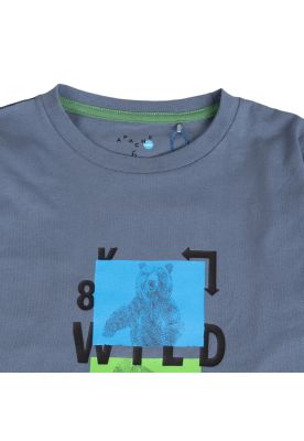 Imagen 2 del producto Polera Niño Gris Pillin (PVB630-25GRI )