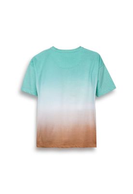 Imagen 2 del producto Polera Niño Verde Pillin (TVC609-25VER)