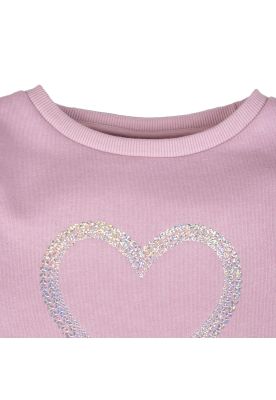 Imagen 2 del producto Polerón  Rosado Pillin ( PVB506-25PET )