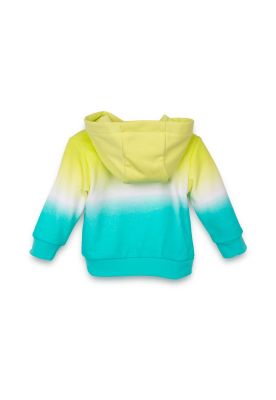 Imagen 2 del producto Polerón Verde Pillin (PVC526-25VER)