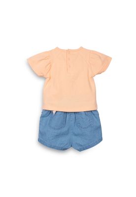 Imagen 2 del producto Conjunto Damasco Pillin (PVC741-25DAM)