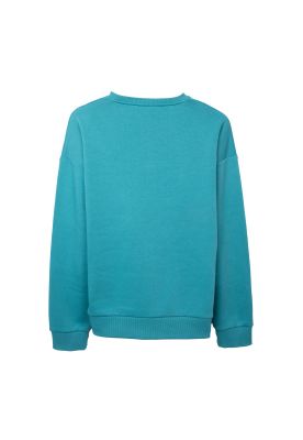 Imagen 2 del producto Polerón  Verde Niño Pillin (TVD505-26VER)