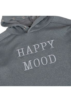 Imagen 2 del producto Polerón  Azul Pillin ( TVB516-25AZP )