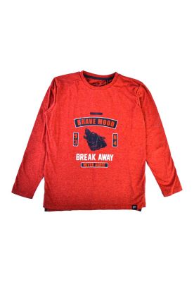 Polera Manga Larga Niño Rojo Pillin
