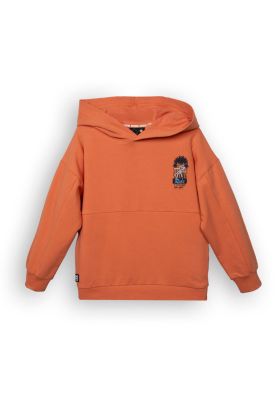 Imagen 1 del producto Polerón Niño Naranjo Pillin (PVC519-25NAR2)